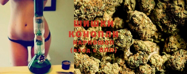 прущий лед Ельня