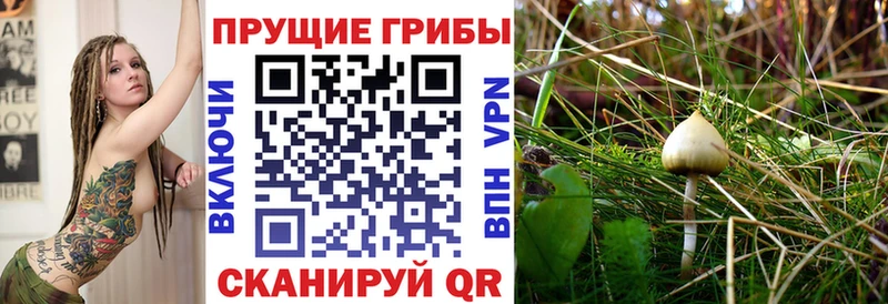где купить   Емва  гидра сайт  Псилоцибиновые грибы ЛСД 
